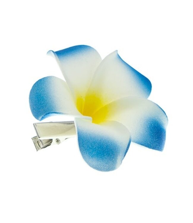Haarbloem Hawaii blauw