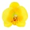Haarbloem orchidee ronde bladeren geel