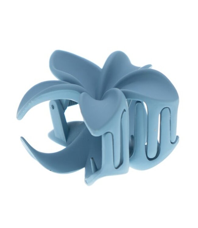 Haarklem sterbloem blauw