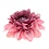 Haarbloem chrysant paars