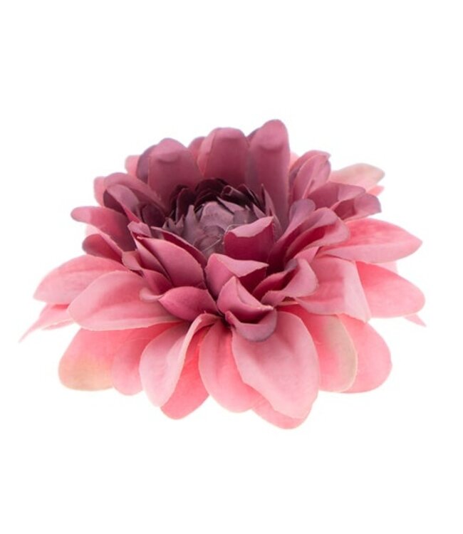 Haarbloem chrysant paars