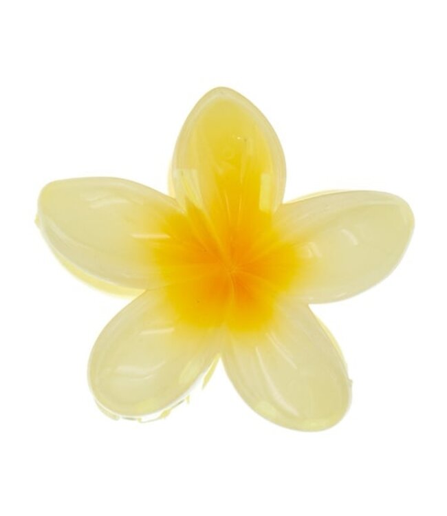 Haarklem glanzende bloem geel