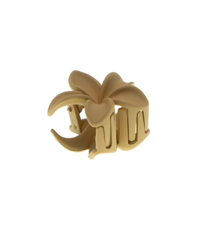 Haarklem sterbloem mini crème