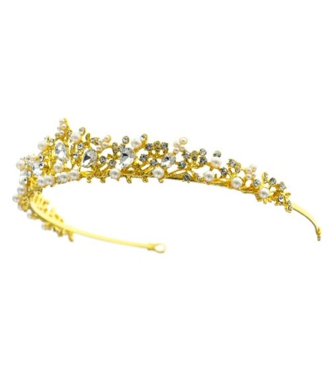 Tiara goudkleurig pracht en praal