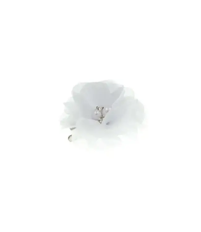 Haarbloem lovely wit