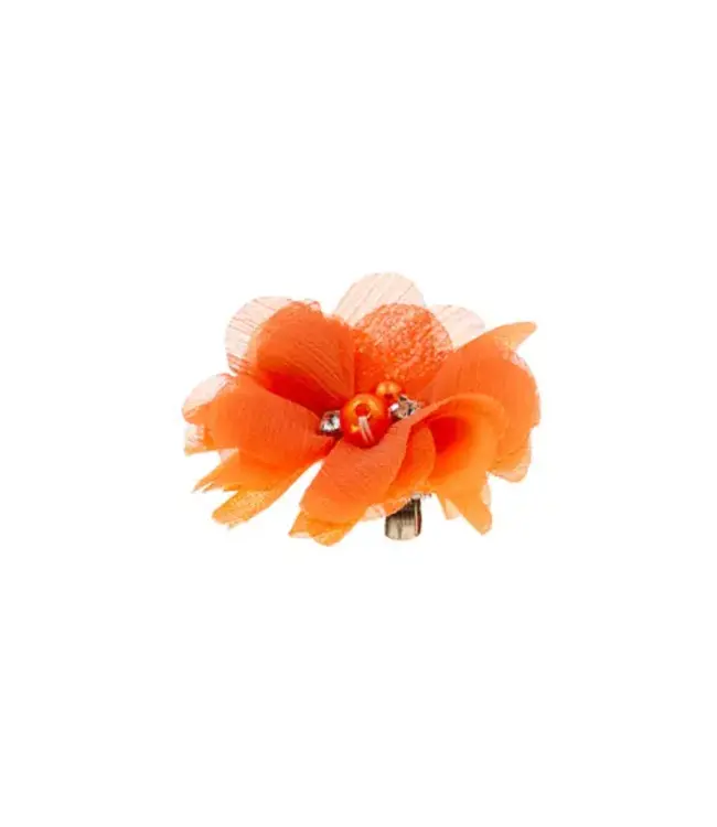 Haarbloem lovely oranje