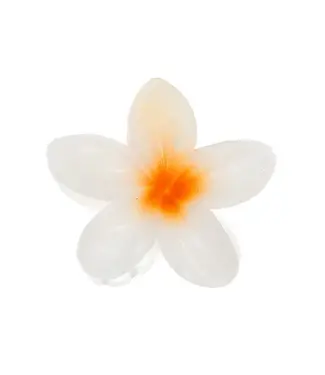 Goudhaartje Haarklem glanzende bloem wit Goudhaartje Haarklem glanzende bloem wit