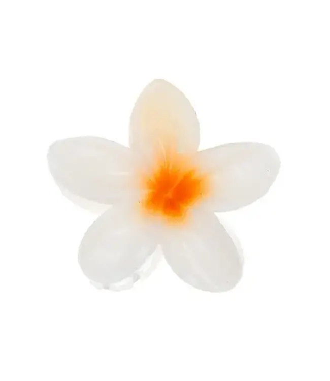 Haarklem glanzende bloem wit