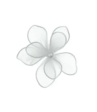Goudhaartje Haarbloem nylon transparant wit