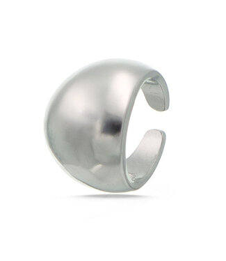 Goudhaartje Ring zilverkleurig breed