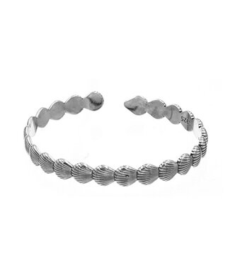 Goudhaartje Armband zilverkleurig schelpen