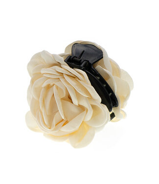 Goudhaartje Haarklem bloem beige