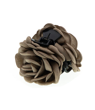 Goudhaartje Haarklem met bruine bloem