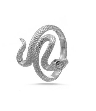 Goudhaartje Ring zilverkleurig slang