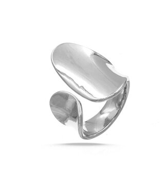 Goudhaartje Ring zilverkleurig modern