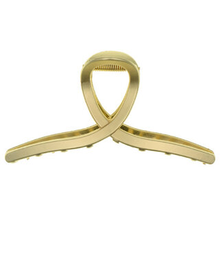 Goudhaartje Haarklem goud lus