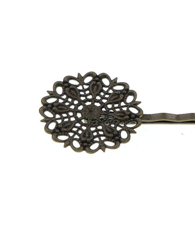 Bronskleurige haarschuifjes met ornament