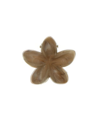 Goudhaartje Haarklem sterbloem mini marmerlook bruin