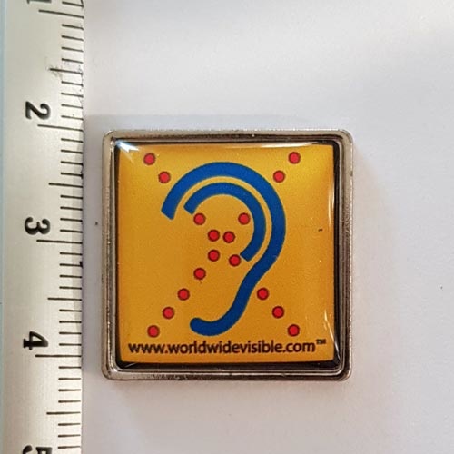 Limited Hearing Pin with magnetic closure