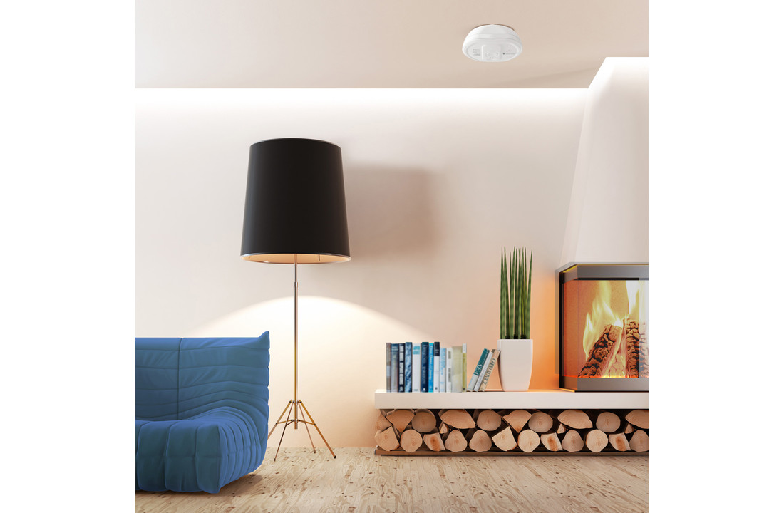 Bellman Visit 868 Carbon monoxide detector BE1555