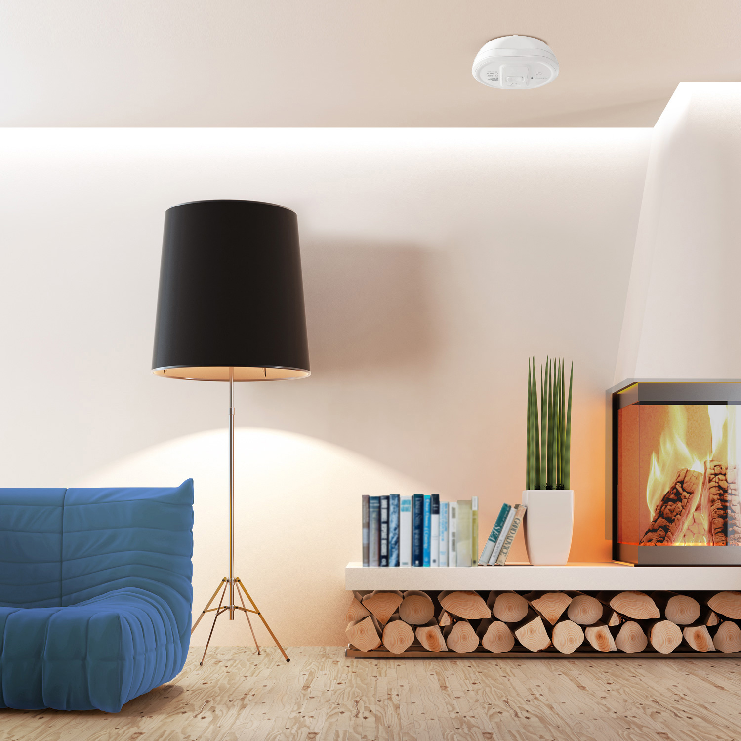 Bellman Visit 868 Kohlenmonoxid-Detektor BE1555