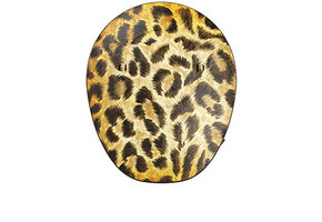 Samba2 design cover Safari