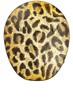 Samba2 design cover Safari