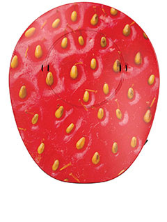 Samba2 design cover Very Berry