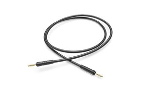 Roger Neckloop  Neckloop