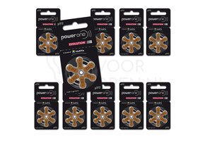 Power One Evolution 312 Battery