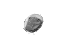 MED-EL WaterWear voor SAMBA (2)