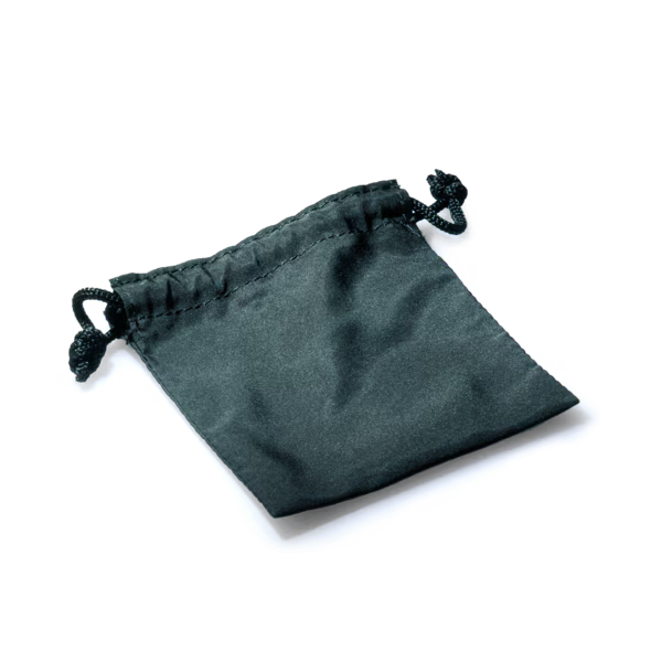 Phonak Roger Select storage pouch