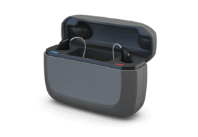 Interton Premium Charger Move RIE 61