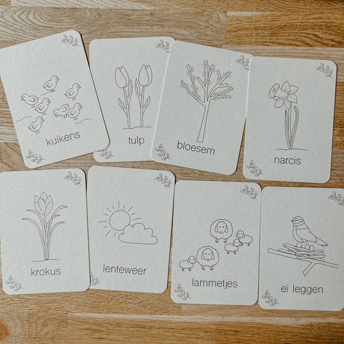 Wildebras Flashcards Lente