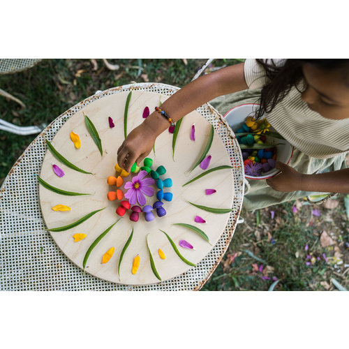 Grapat Grapat Mandala, Regenboog Paddenstoelen