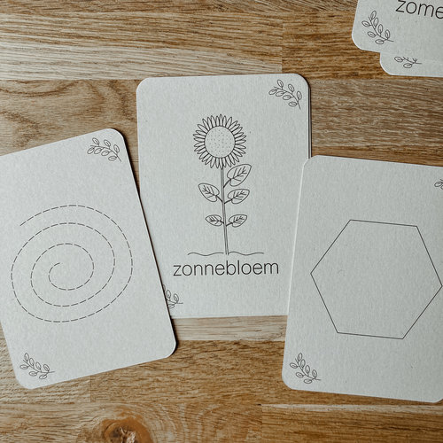 Wildebras Flashcards Zomer