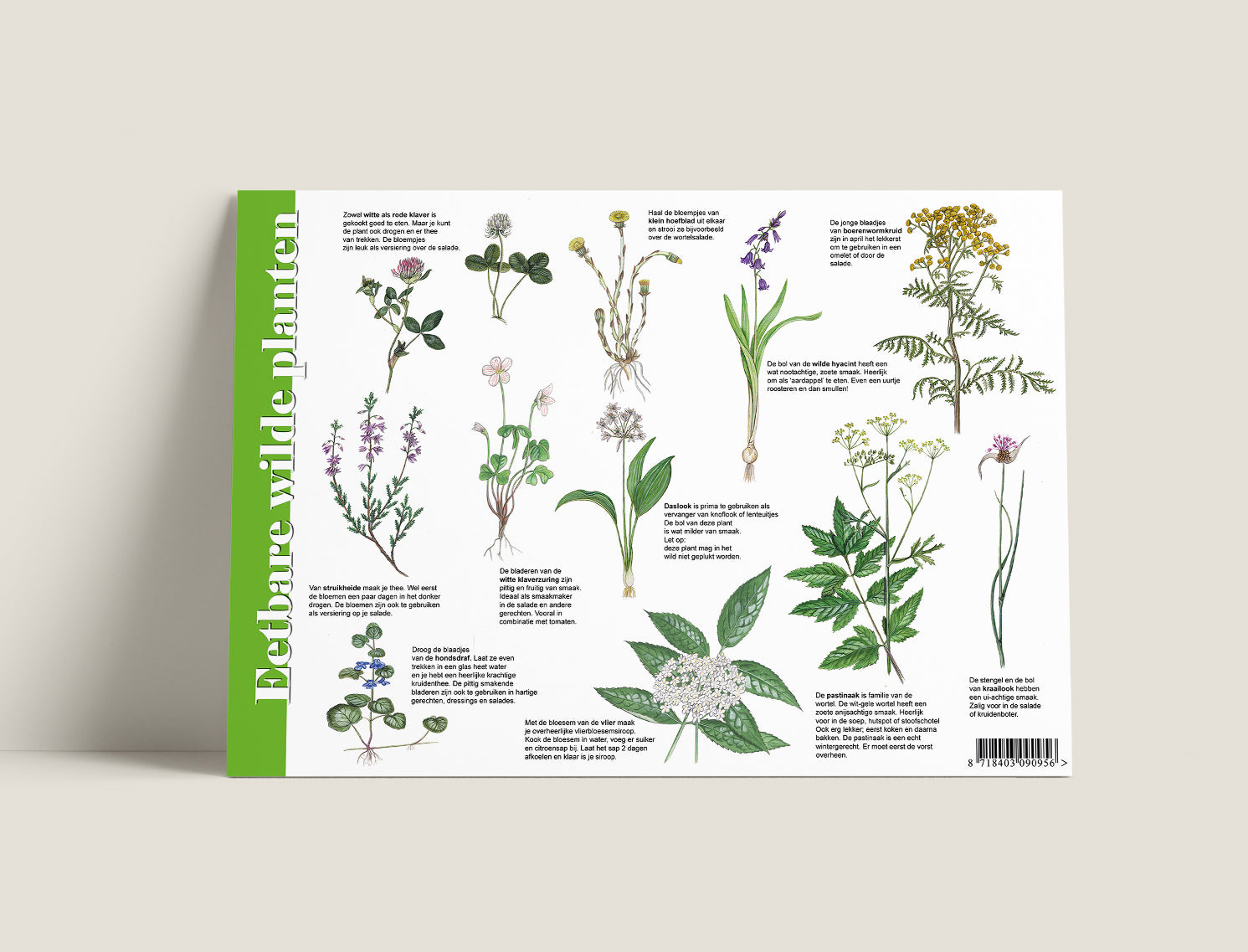 Eetbare Wilde Planten - Pdf