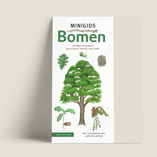 Jasper de Ruiter Minigids Bomen