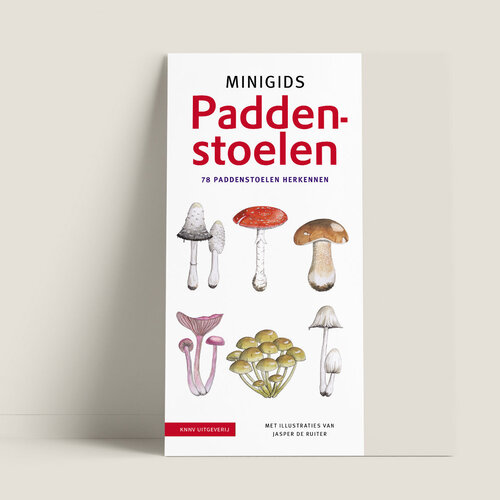 Jasper de Ruiter Minigids Paddenstoelen