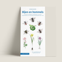 Minigids Bijen en Hommels