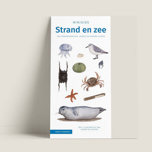 Jasper de Ruiter Minigids Strand en Zee