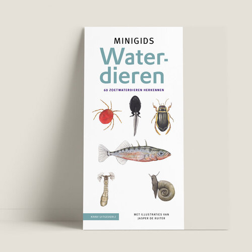 Jasper de Ruiter Minigids Waterdieren