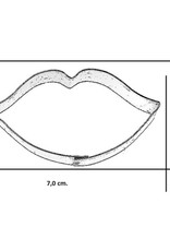 Uitsteker - Lippen RVS