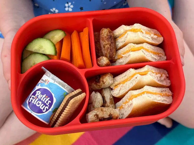 The Ultimate Lunchbox Guide - Silicone