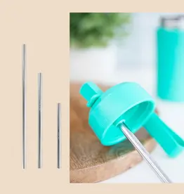 Montii Montii RVS Rietje voor Fusion Sipper dop