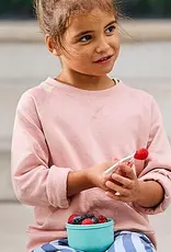 Mepal Fruitbox Campus 300 ml - Little Dutch - Little Farm