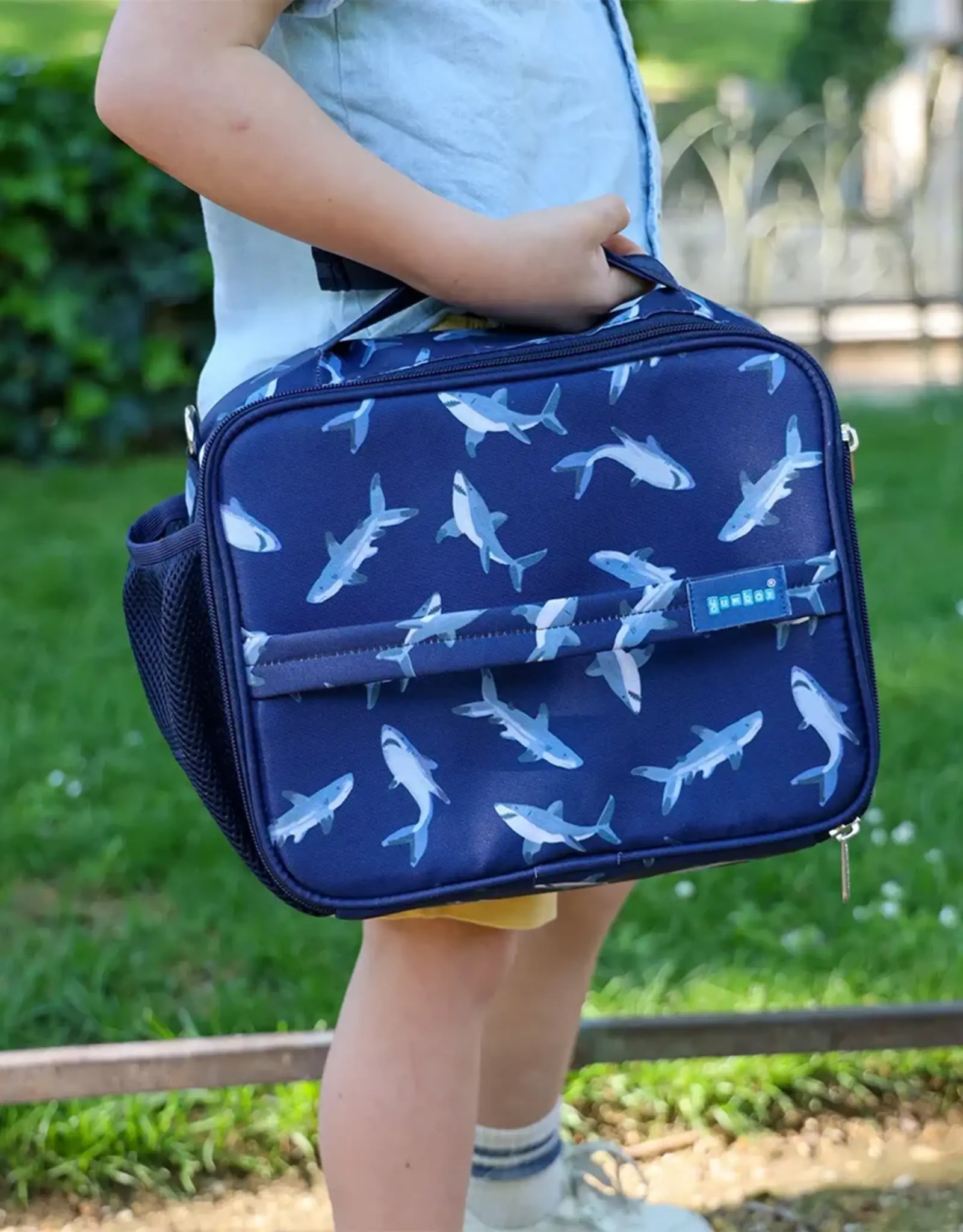 Yumbox Koeltas - Pacific Haai