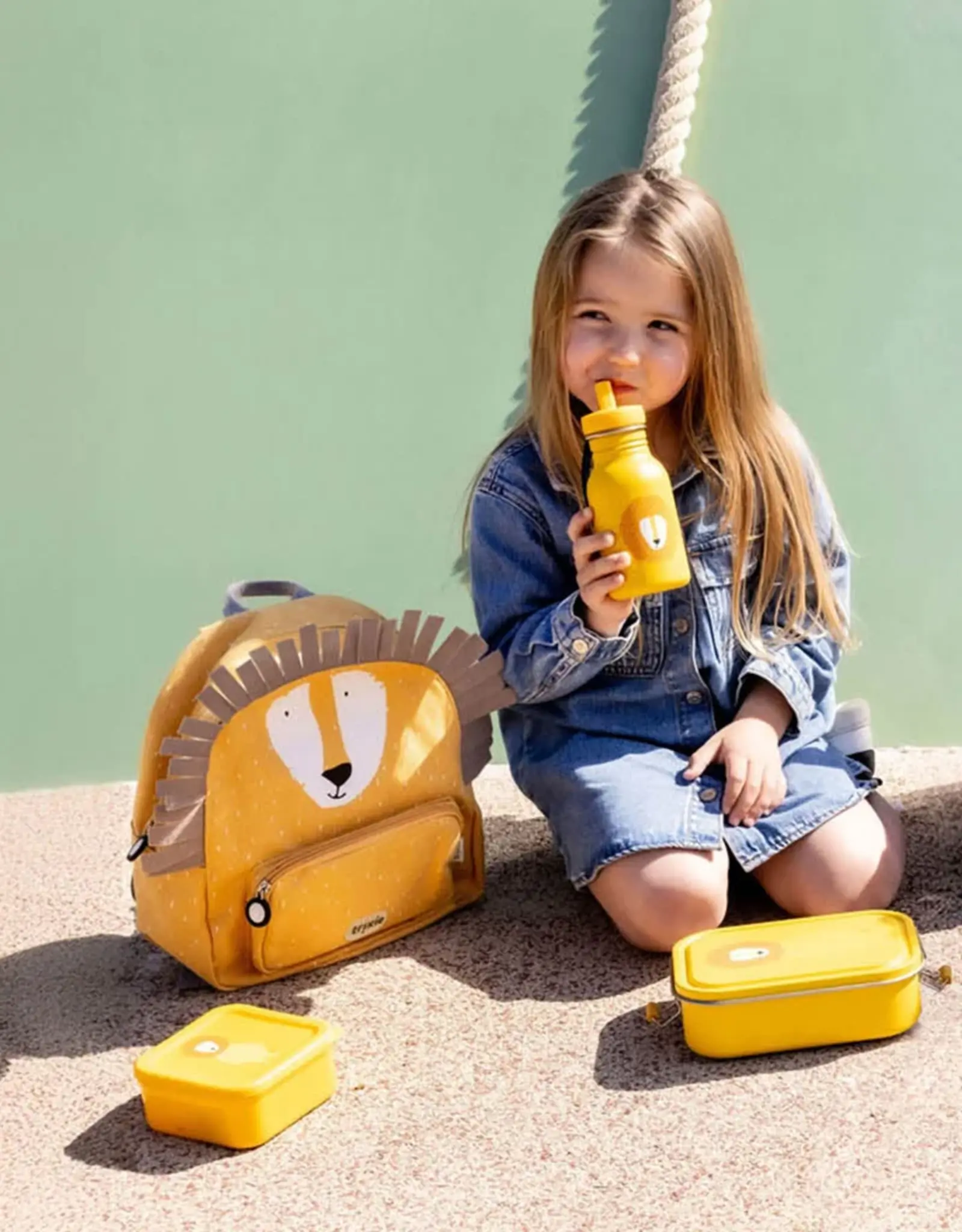 Trixie Trixie Snackbox set 3-delig - Mr. Lion