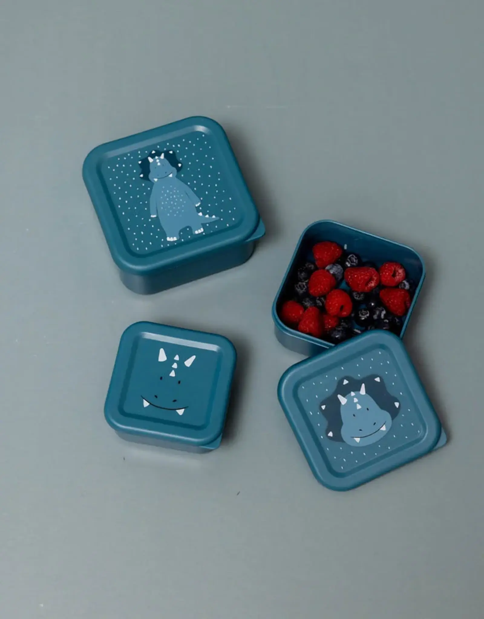 Trixie Trixie Snackbox set 3-delig - Mr. Triceratops