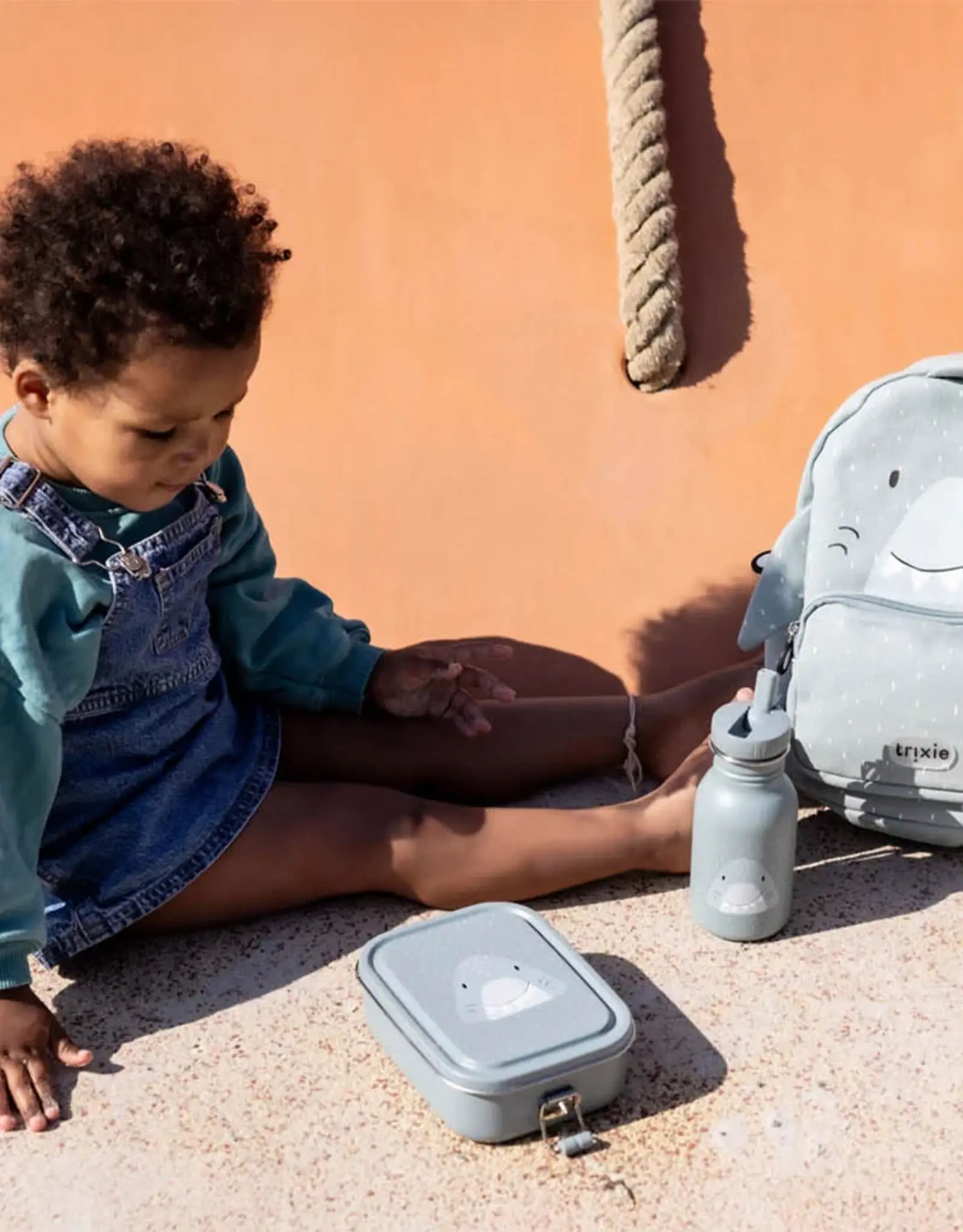 Trixie Trixie Brooddoos Klein - Mr. Shark